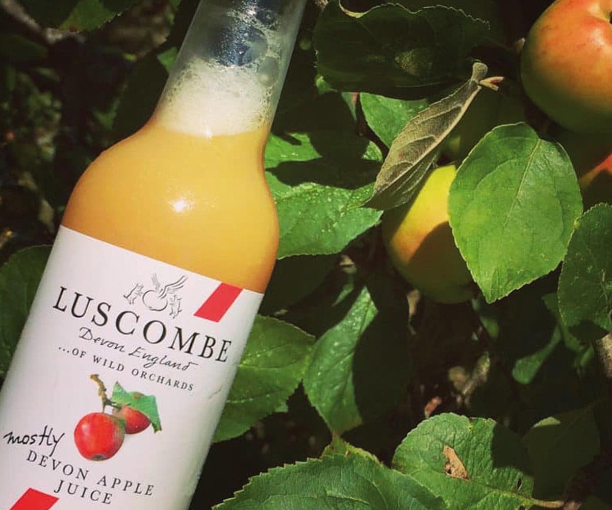 Luscombe Drinks — Cobalt case study