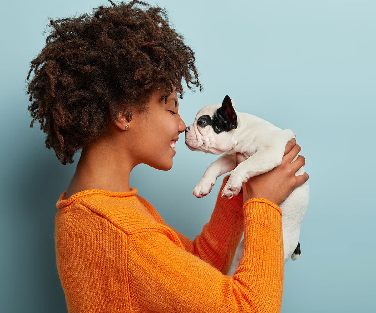 Vetlink — Cobalt case study